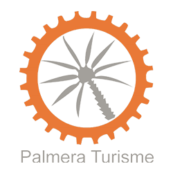 logo Palmera